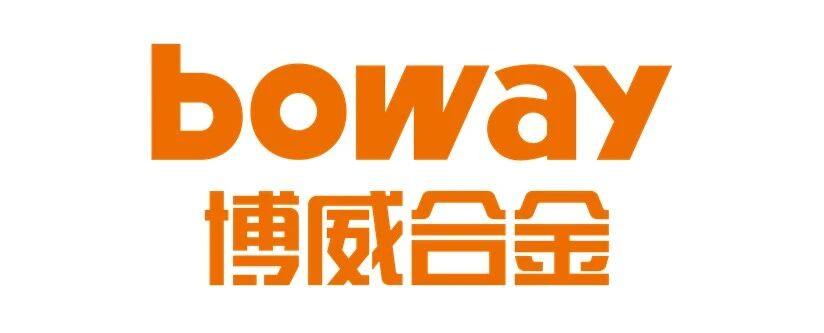 宁波博威合金材料股份有限公司-线束世界